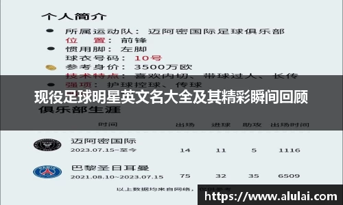 mk体育有限公司